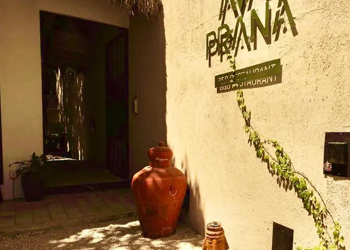 Ama Y Prana