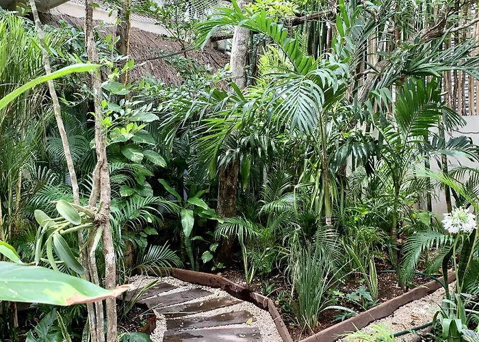 Orchid House Tulum Jungle